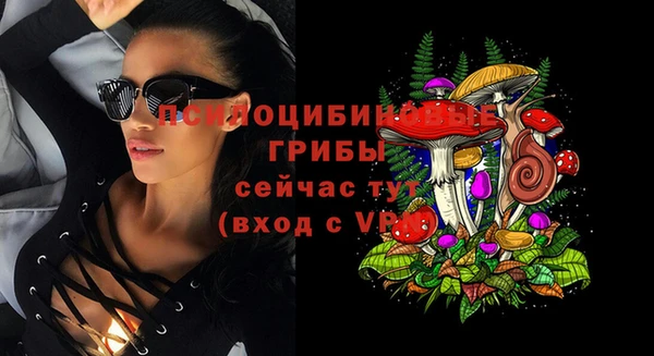 ECSTASY Аркадак
