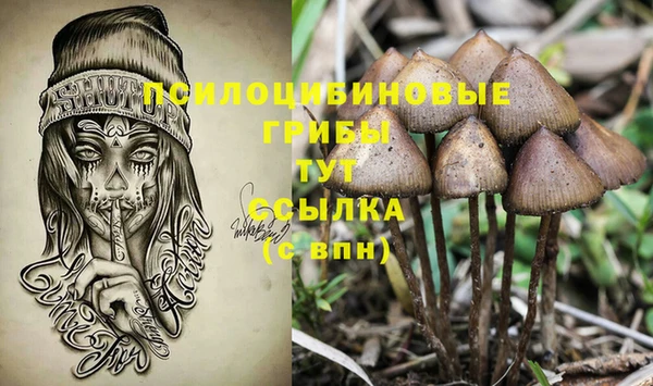 СК Алексин