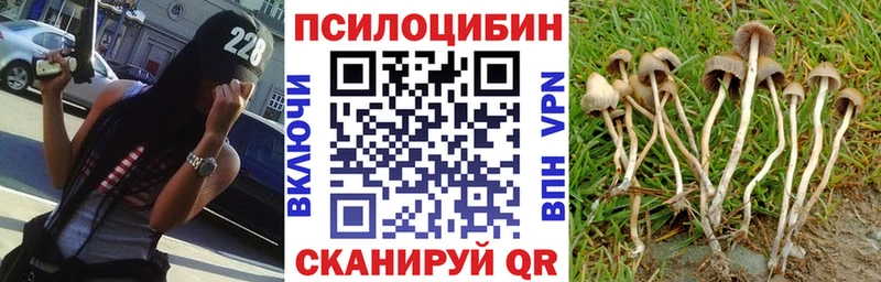 OMG как войти  купить закладку  Покров  Галлюциногенные грибы мухоморы 